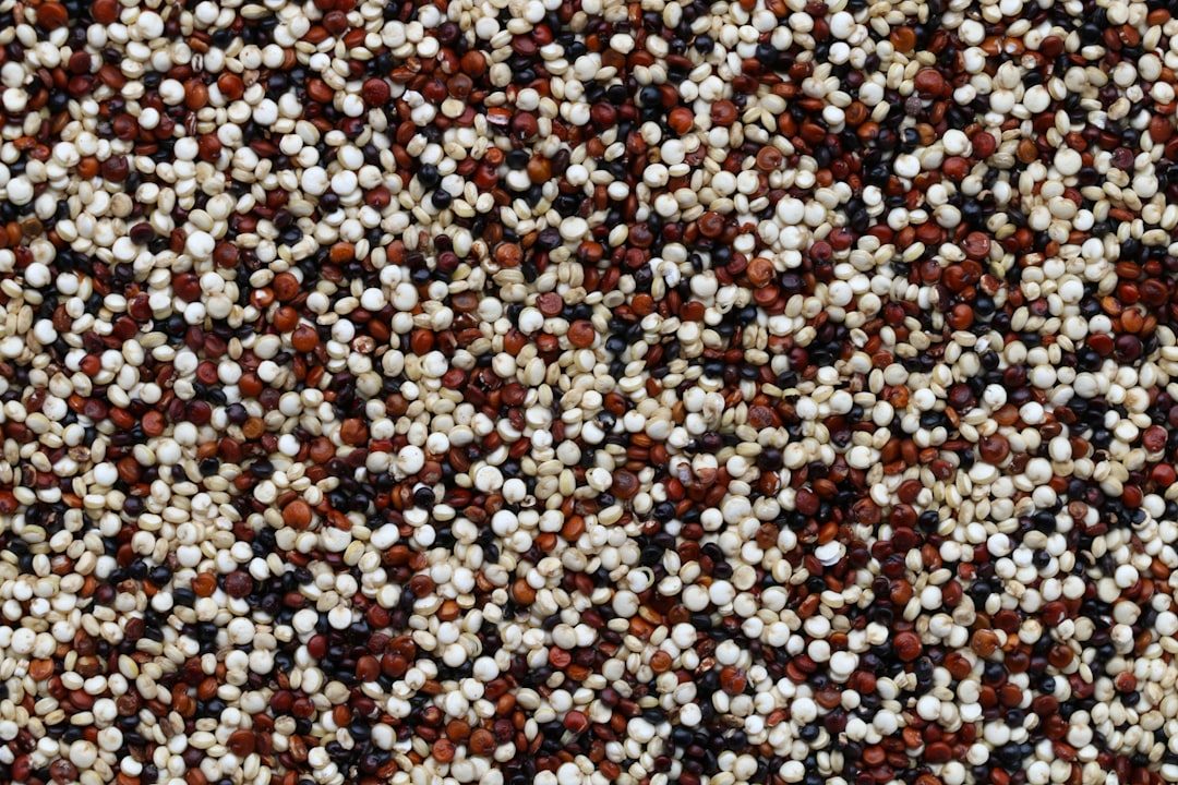 How to Apply Granular Fertilizer (spreader Settings and Tips)