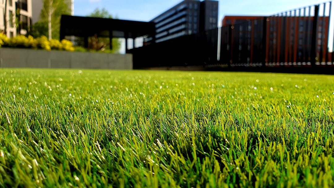 Best Fertilizer for Centipede Grass in South Carolina (2026)