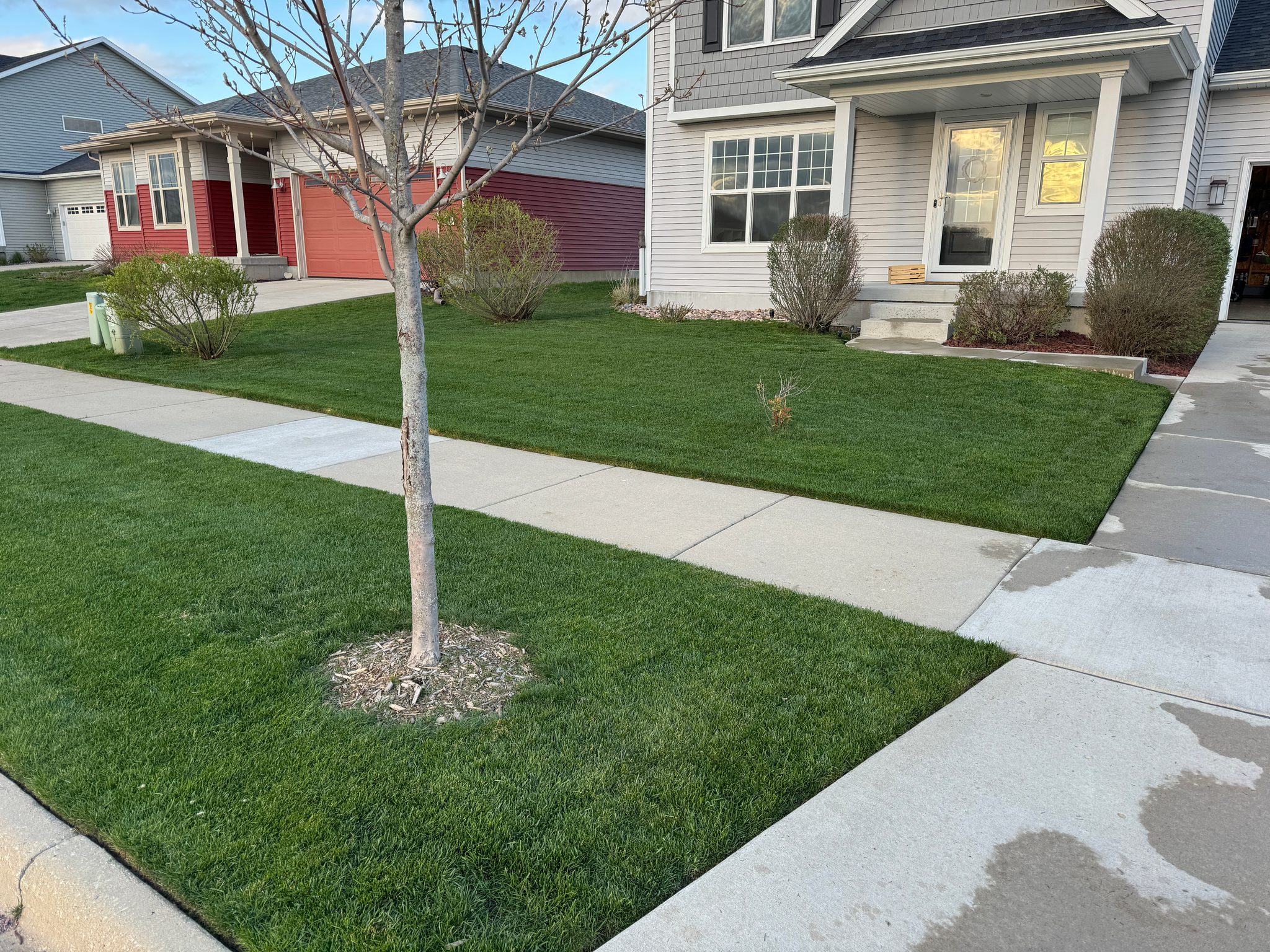 How to Choose Between DIY and Professional Lawn Care