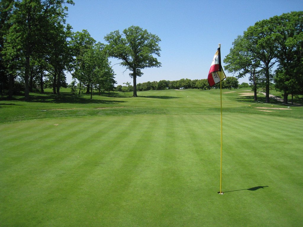 Grass Types That Need Minimal Fertilizer
