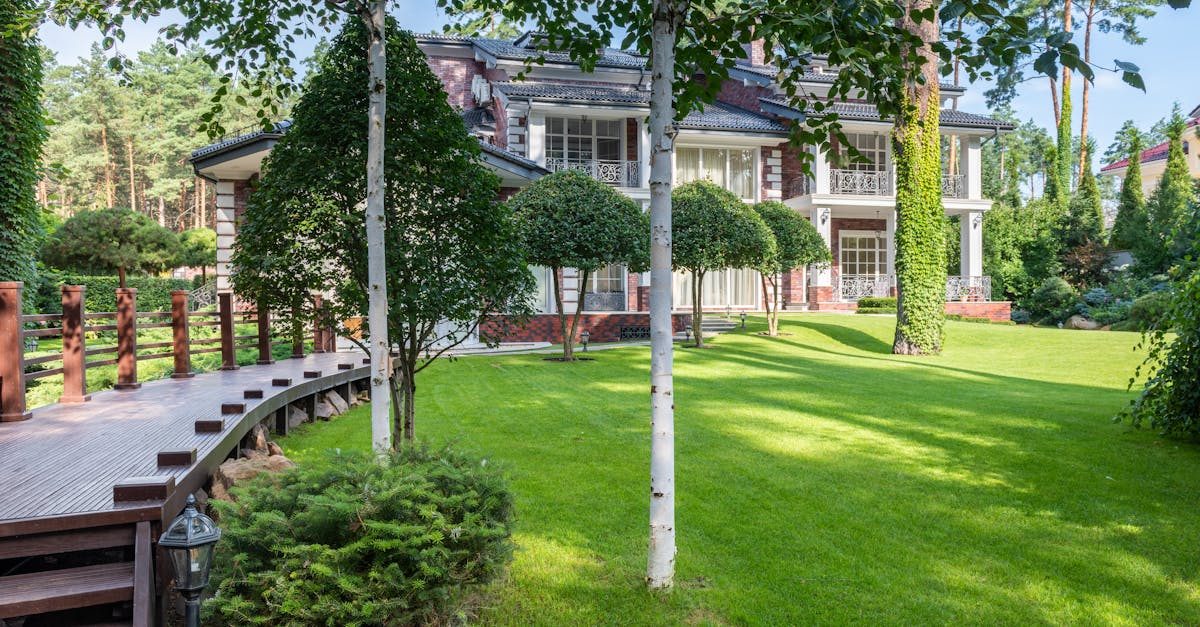How to Build a Stress Proof Lawn Before the Summer Heat Hits