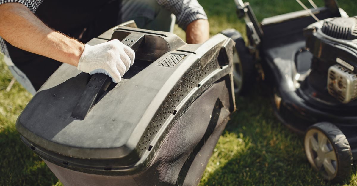 When to Stop Mowing Your Lawn: Last Mow of the Season by Grass Type