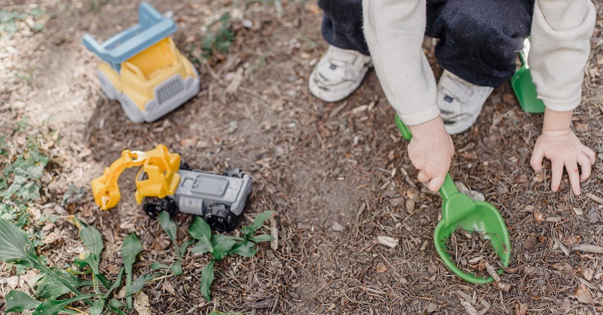 Meyer Zoysia Care: Seasonal Calendar photo