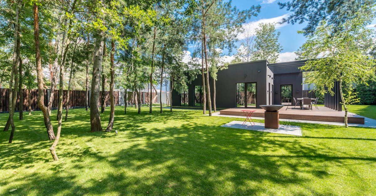 Revive Your Summer Lawn with Ease