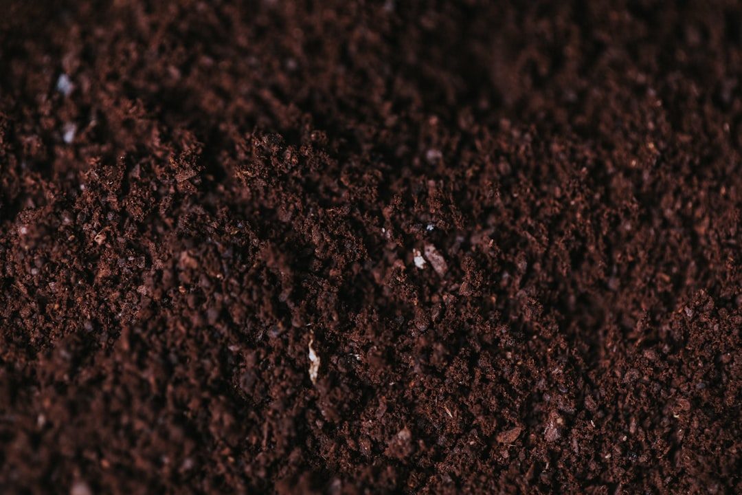 Can You Put Topsoil on Top of Grass? Safe Depths and How-To