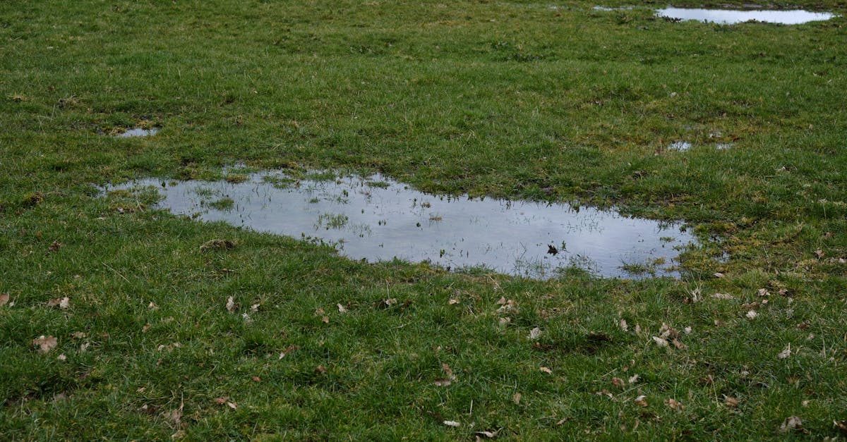 Watering lawn grass