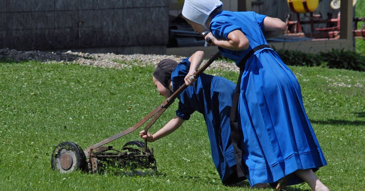 Putting It All Together: A Practical Action Plan photo