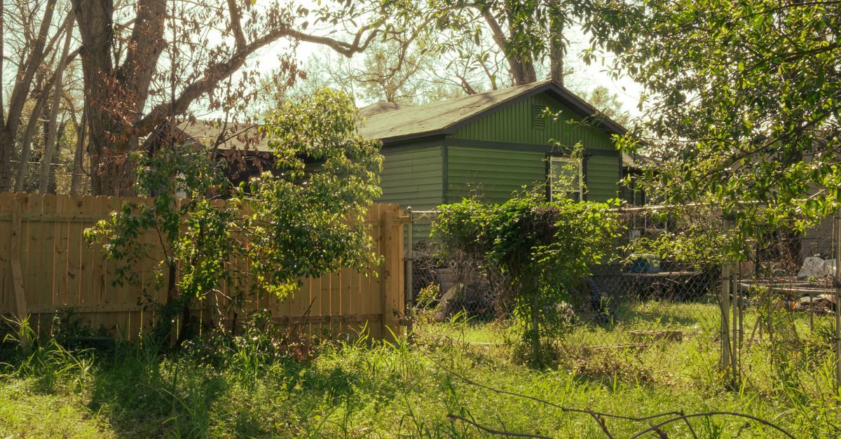 Types of Grass in Mississippi: The 6 You Will Actually See