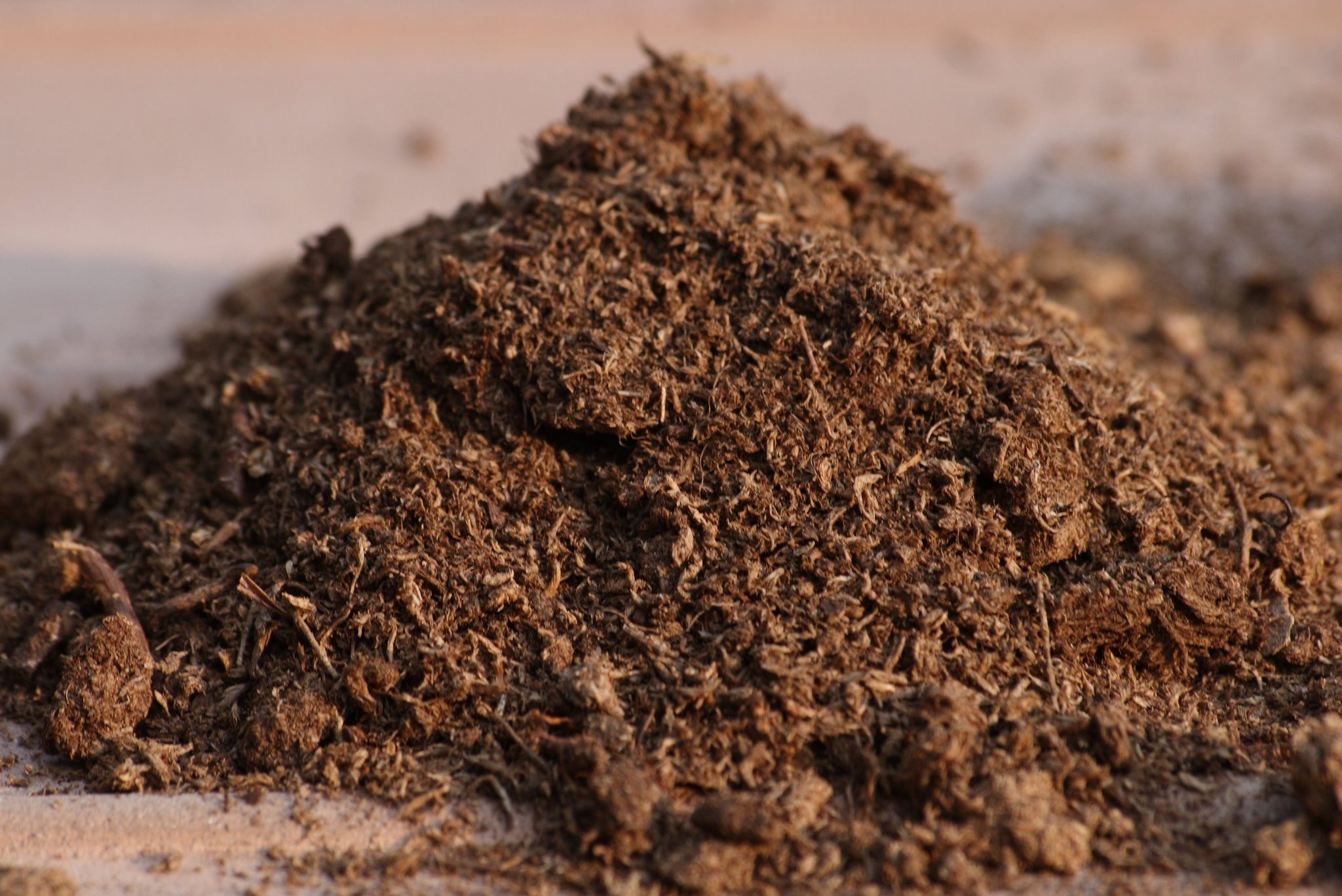 Most Common Top Dressing Compost Peat Moss Topsoil Sand Which Is Best for You