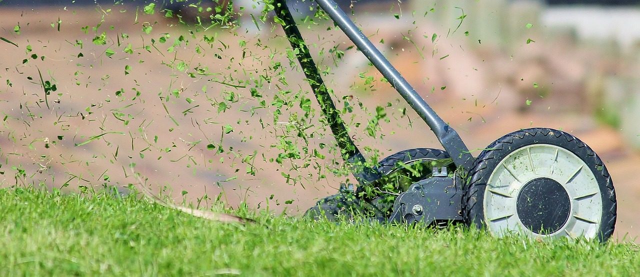 Grass Cutting Height Chart: Mowing Height by Grass Type