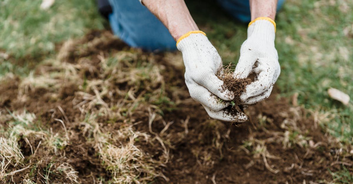 Soil Amendment Results and Their Typical Timeline
