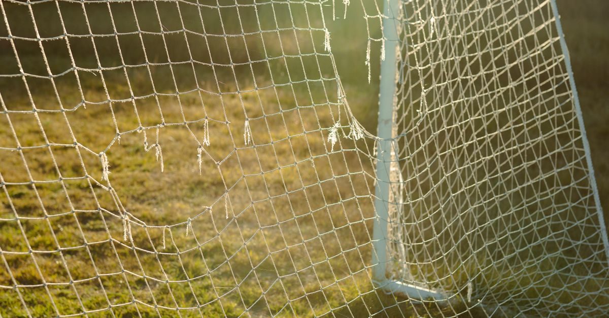 Is My Grass Dead or Dormant? How to Tell the Difference