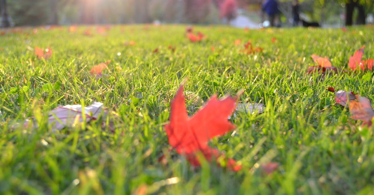 Common Mistakes & How to Avoid Them photo