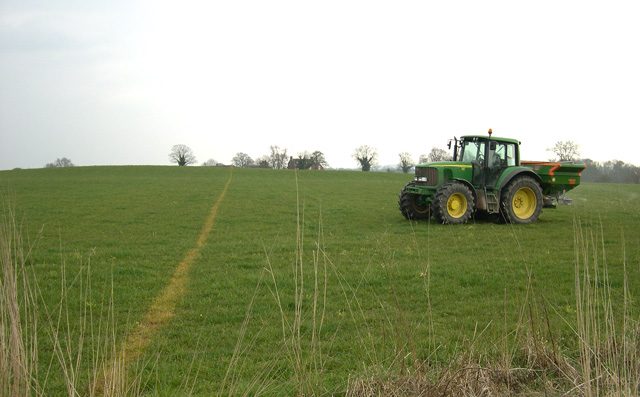 Best Fertilizer Ratio for Bermuda Grass (NPK Guide)