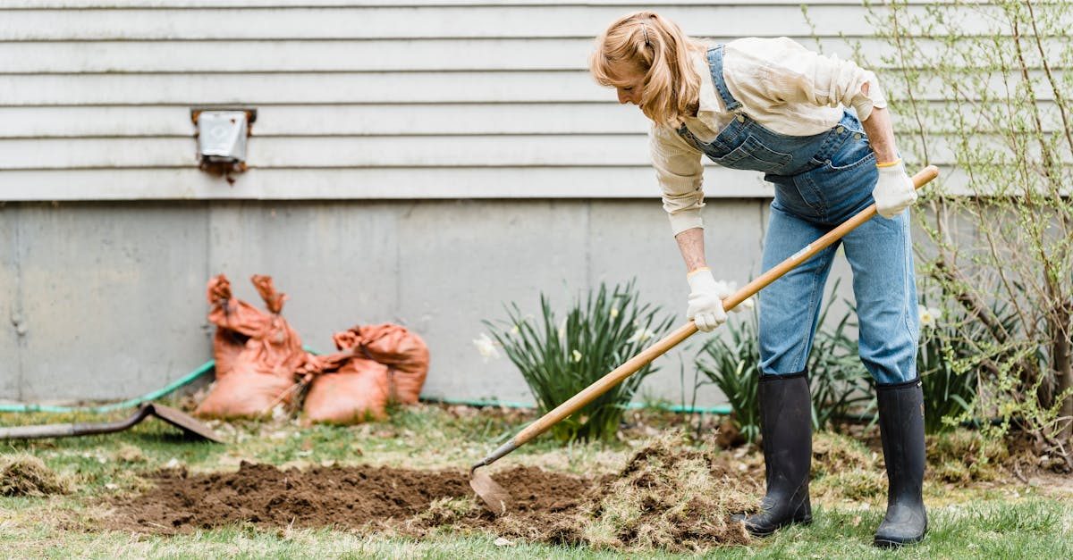 Spring Lawn Preparation Checklist