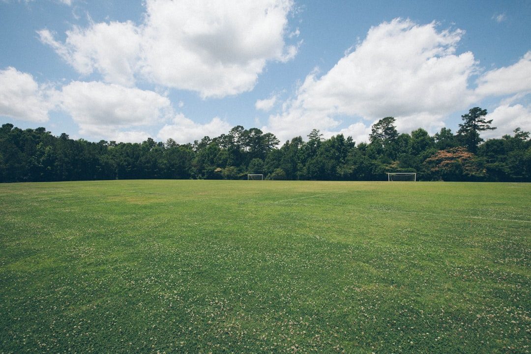 Best Weed and Feed for Centipede Grass (2026)