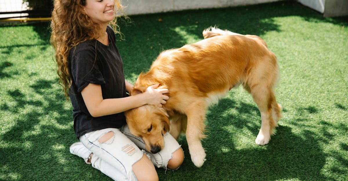 Artificial Grass Installation for Dogs: Drainage, Odor Control, and Infill