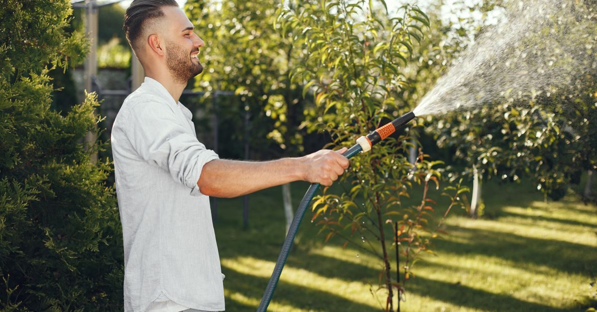 Types of Grass in Wisconsin: Identify What Grows Here
