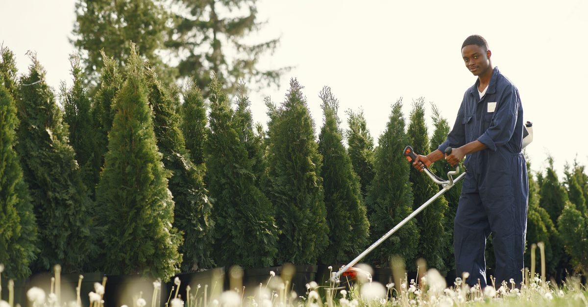 The 10 Best Lawn Care Services in Chicago, IL (2026)