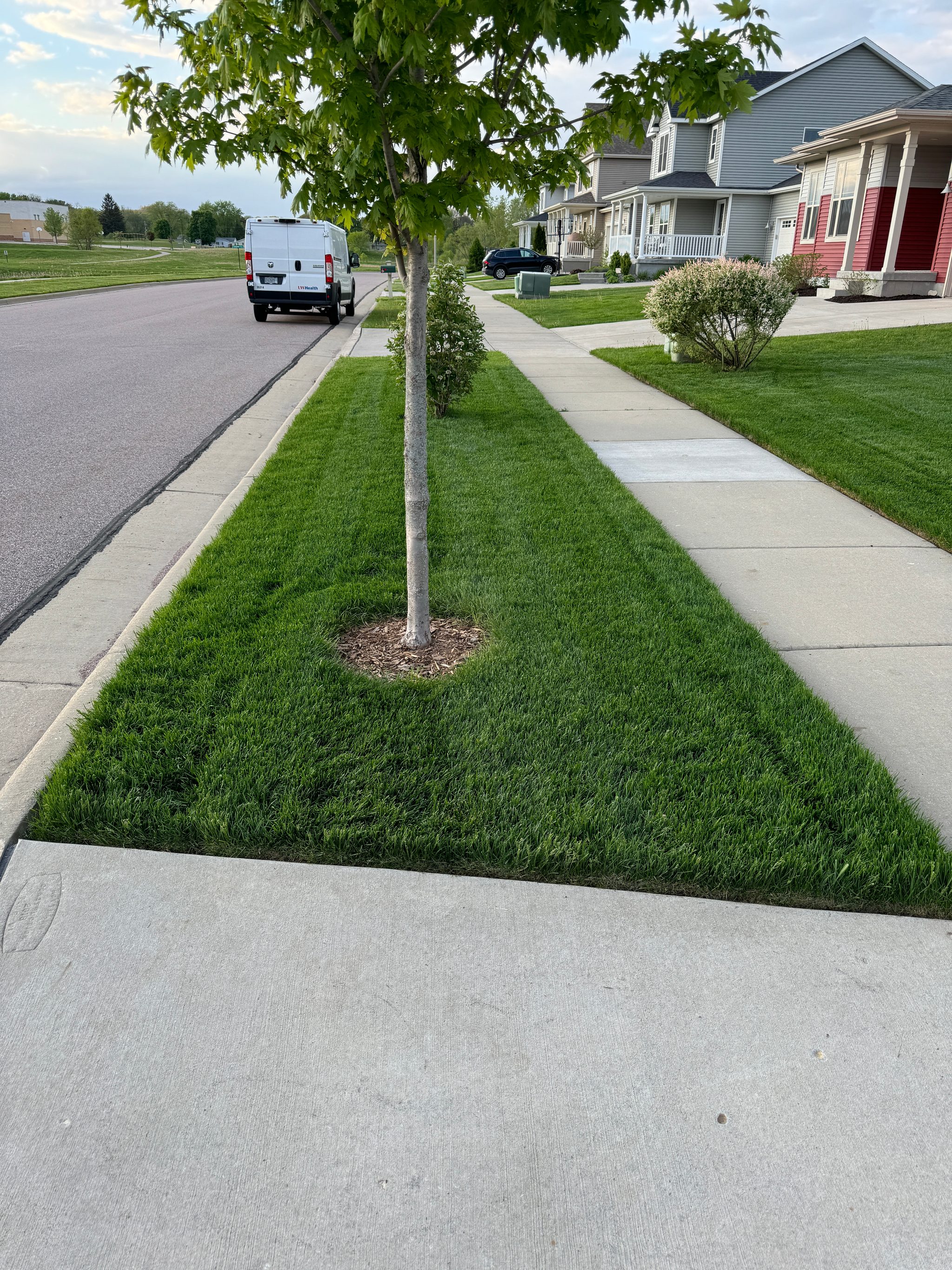 Understanding Lawn Care Terminology: A Homeowner’s Guide