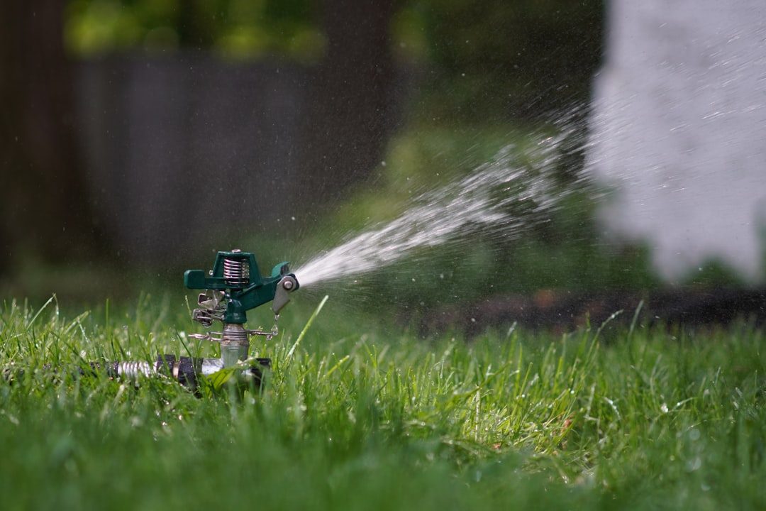 Watering Your Lawn the Right Way: How Often and How Much to Water