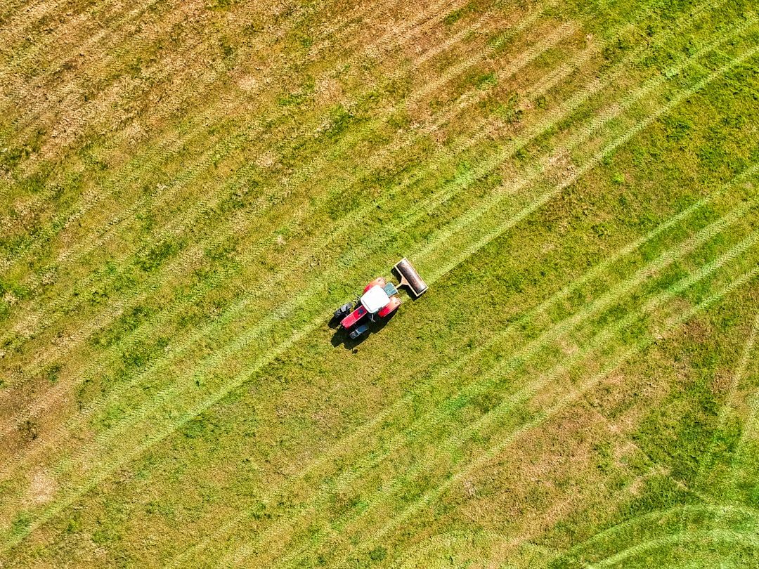 Best Granular Pre-Emergent Herbicides: Which to Buy and When to Apply