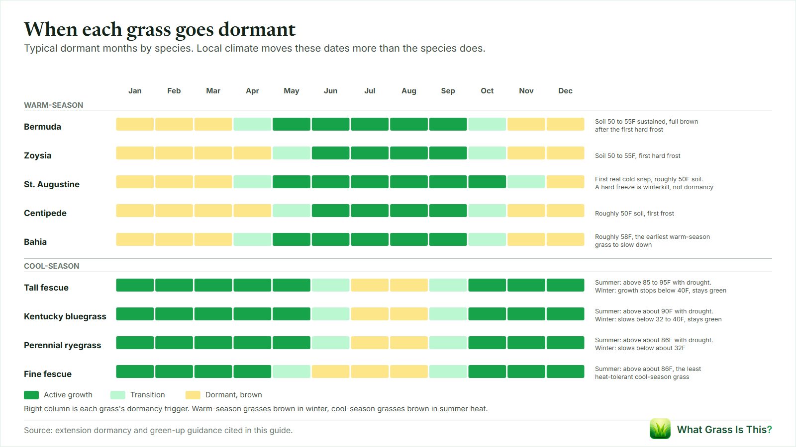 Dormancy calendar for nine grasses. Bermuda, zoysia, centipede and bahia brown November through March or April, St. Augustine December to March, and cool-season grasses brown in July and August heat.