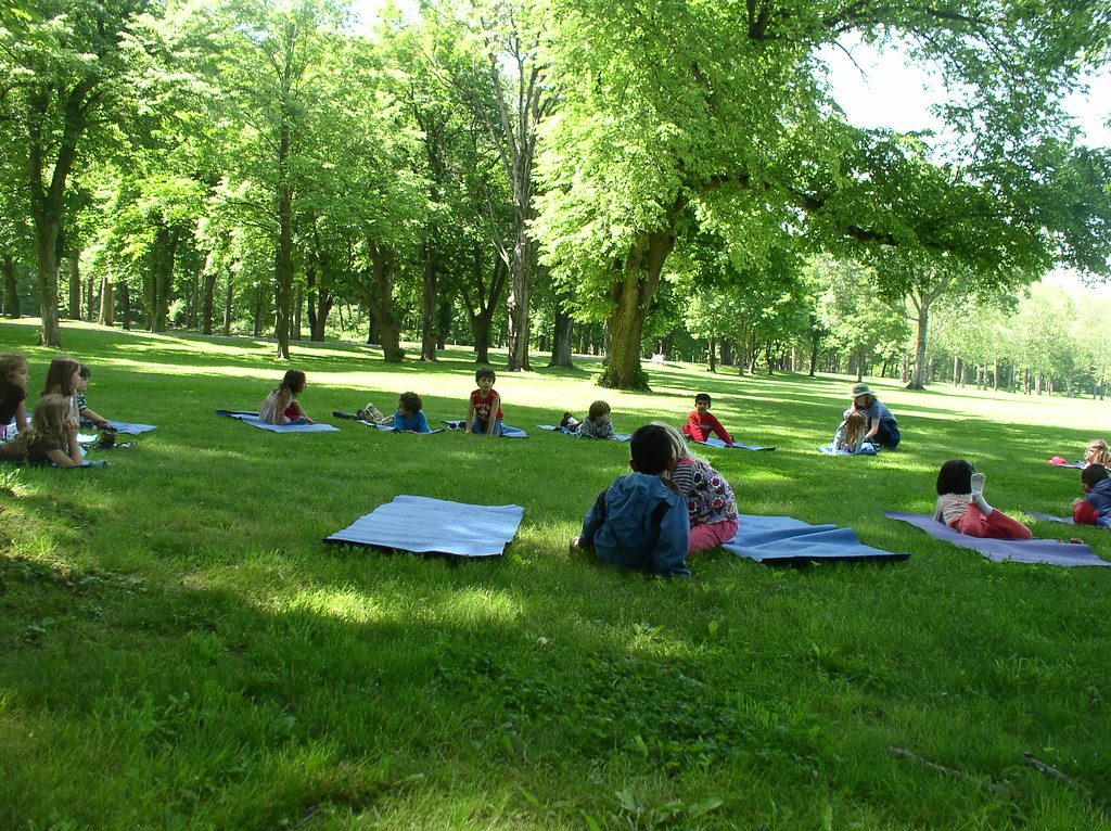 Spring Lawn Fertilizer Schedule: When to Apply by Grass Type