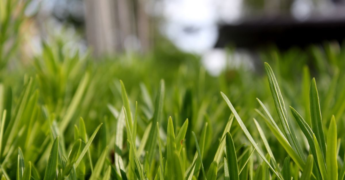 Best Lawn Care and Landscaping Website Examples (And What Makes Them Work)