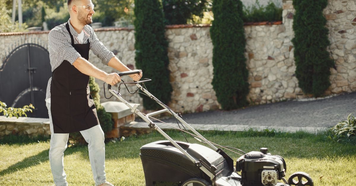 4 Types of Grass in Connecticut and How to Tell Which You Have