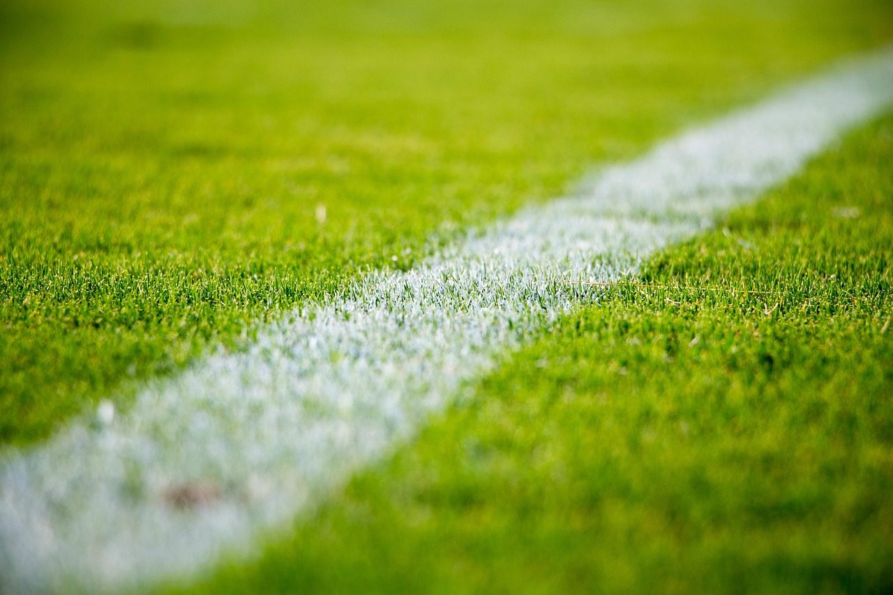 When to Fertilize Your Lawn: Simple Timing Rules for Every Grass Type