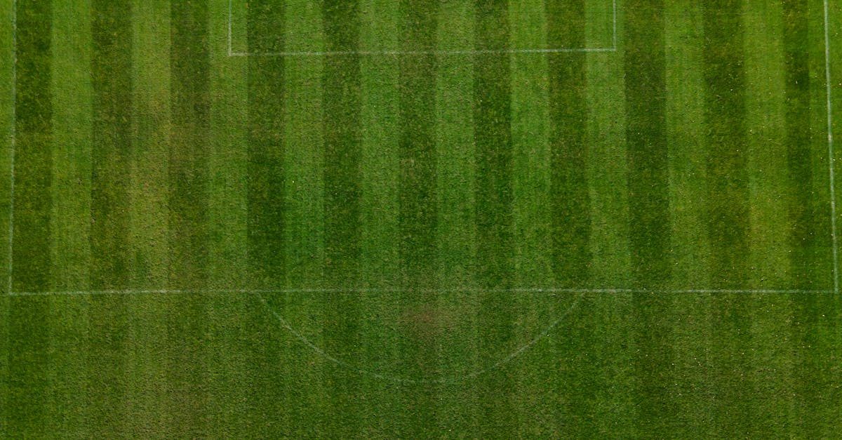 Understanding Lawn Paths & Garden Pathways photo