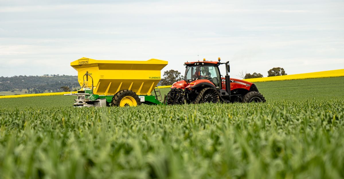Best Fertilizer for St. Augustine Grass in South Carolina (2026)