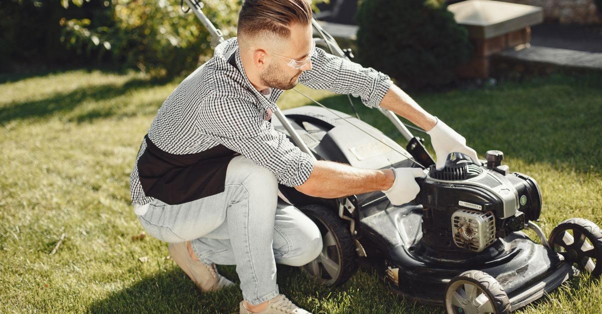 6 Types of Grass in Utah and How to Tell Which You Have