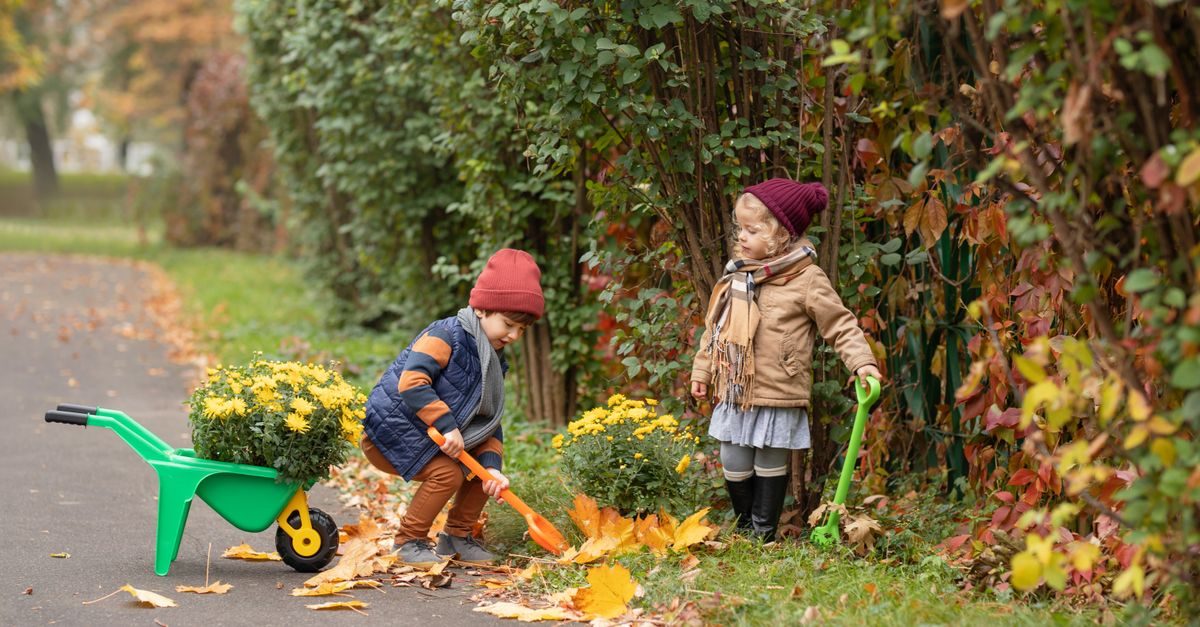 Should You Mulch Leaves Into Your Lawn or Rake Them?