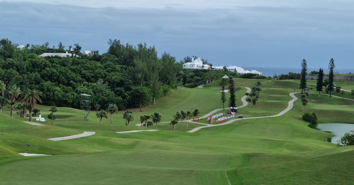 When Does Bermuda Grass Turn Green? 2026 Timeline by Region