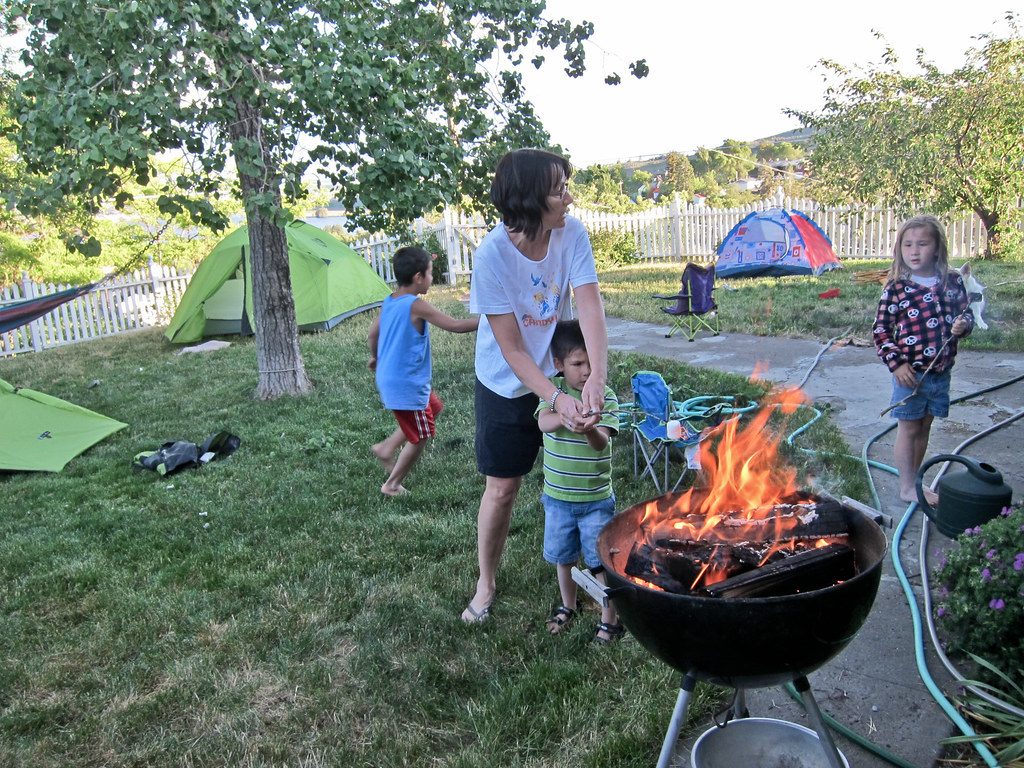Best Grass for Busy Families with Kids and Pets