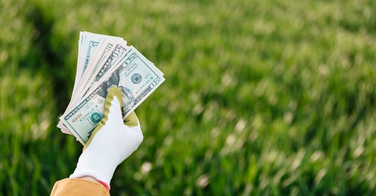 How Much Does Lawn Care Actually Cost? A Realistic 2026 Breakdown