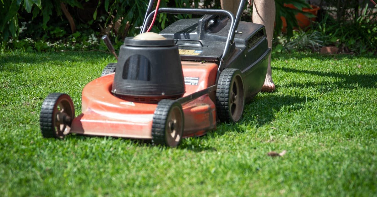Monthly Lawn Care Calendar by Grass Type & Climate