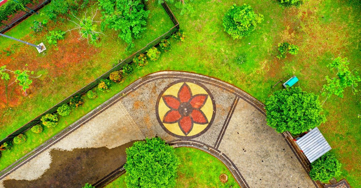 Photo by Tom Fisk on Pexels Understanding Lawn Diseases: Foundations for Prevention photo