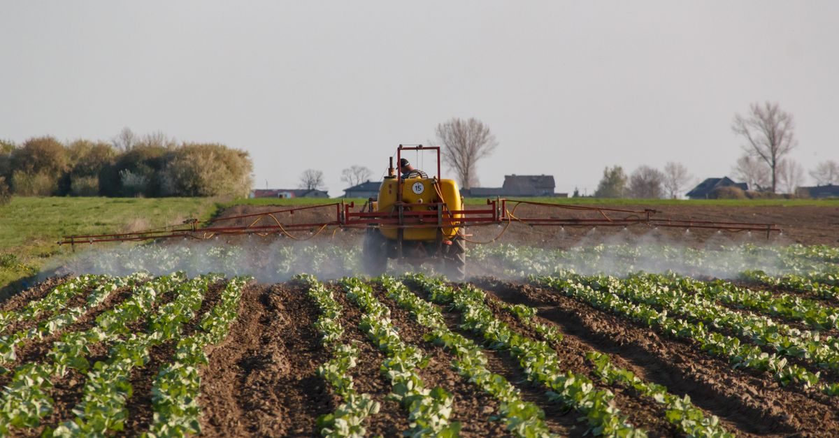 Best Fertilizer for Bermuda Grass in Tennessee (2026)