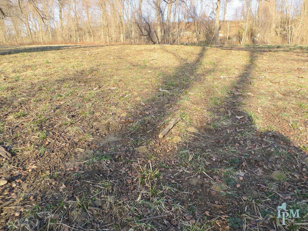 How to Repair Bare Patches in Your Lawn