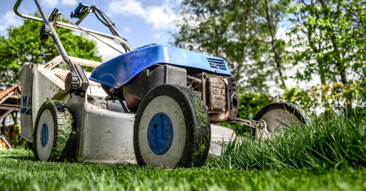 Are Robot Lawn Mowers Worth It? An Honest 2026 Verdict