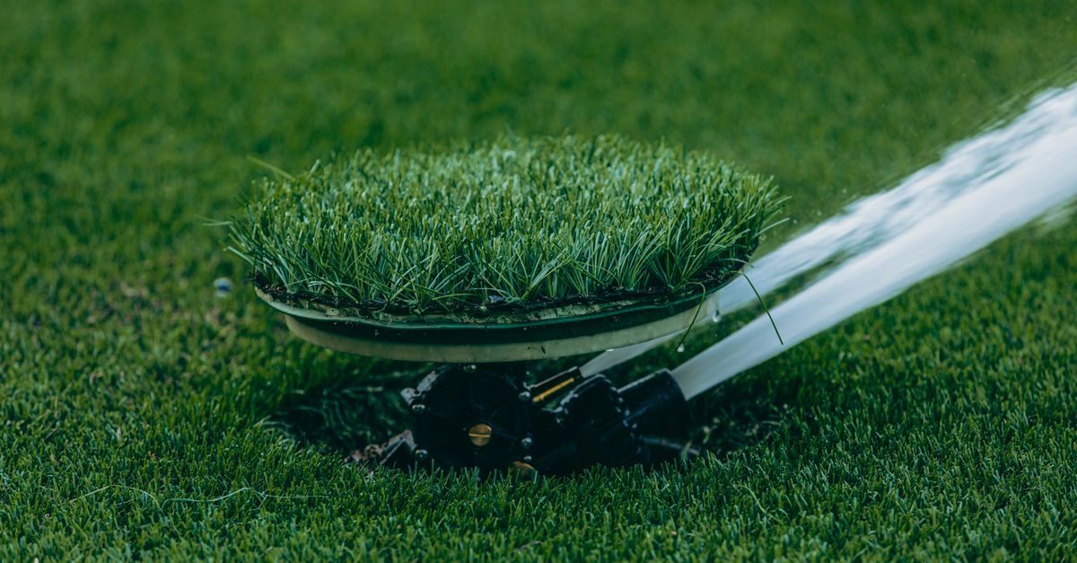 What Makes Centipede Grass Fertilizer Different in Florida?