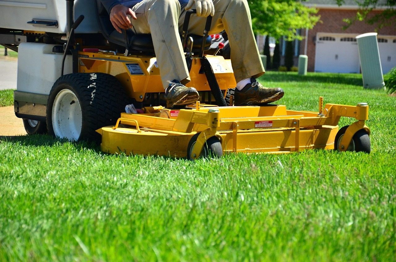 What Bermuda Grass Needs in Oklahoma Before You Choose a Fertilizer