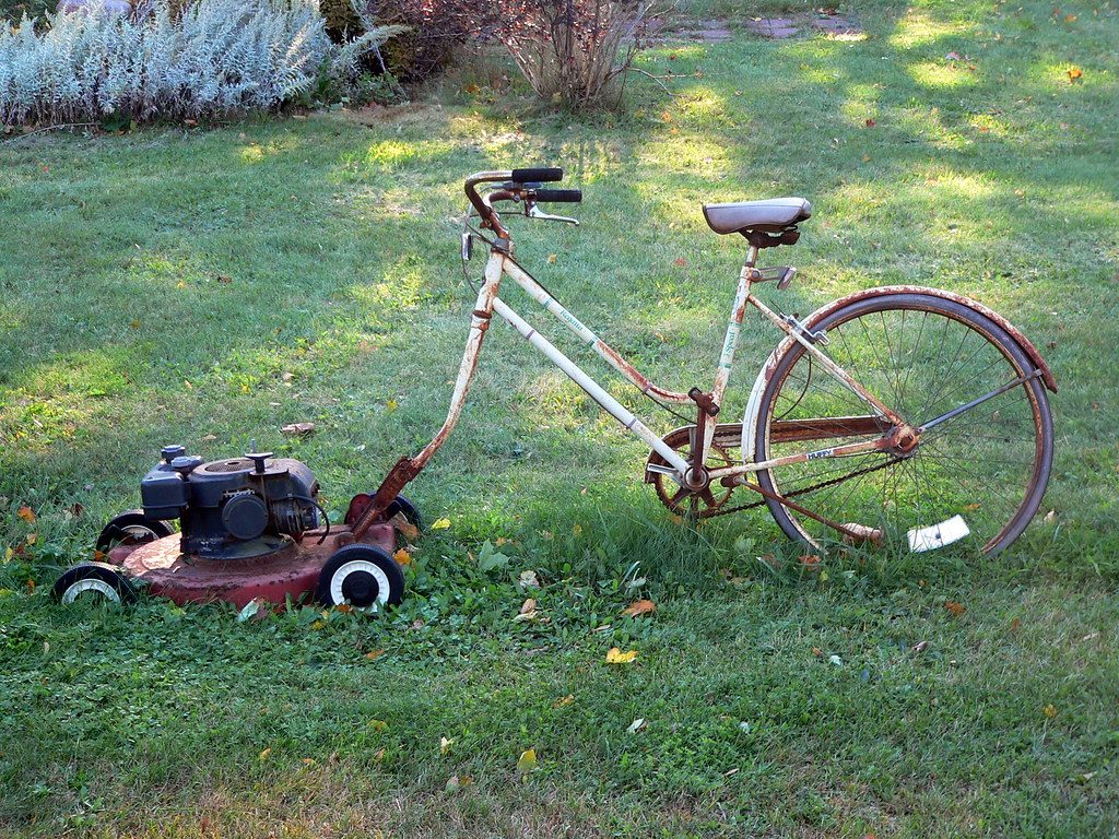 Best Cool-season Grass for Northern Lawns