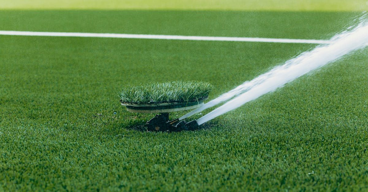 Watering lawn grass