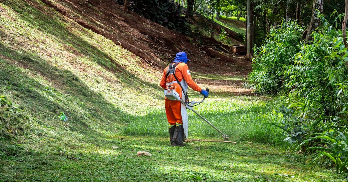 Step 4: Mowing Correctly From Day One photo