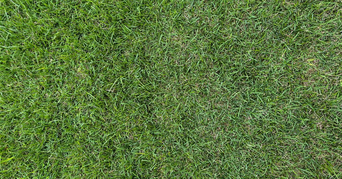 Which Simple Lawn Solutions Should You Buy? 16-4-8 vs 15-0-15 vs 28-0-0 (2026)