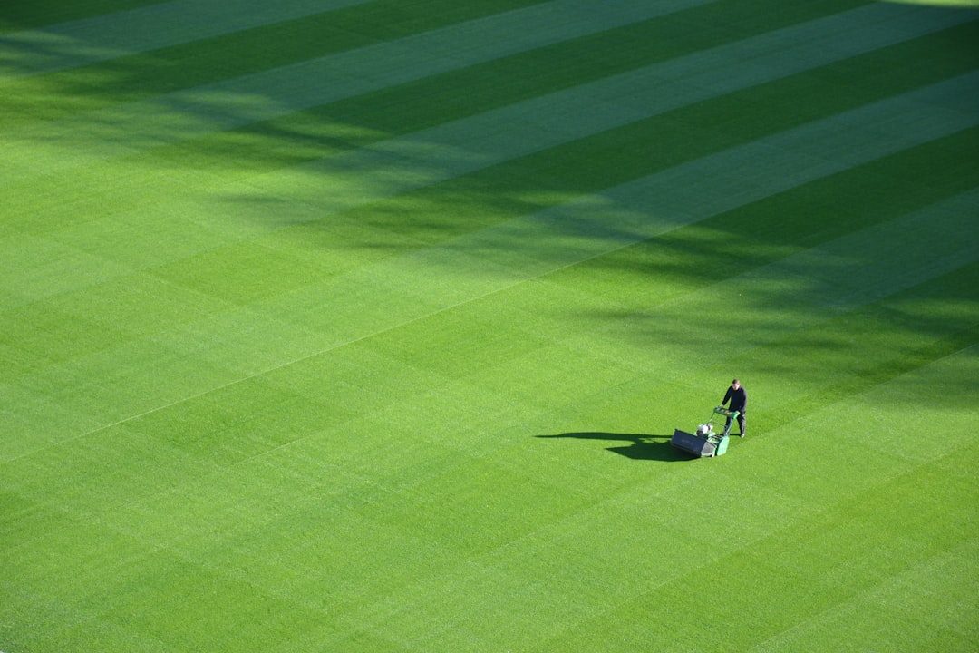 Cover image for Lawn Fertilizing: A Complete Guide